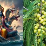 Amalaki Ekadashi