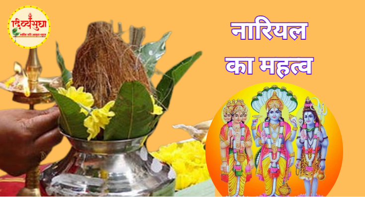 shree fal