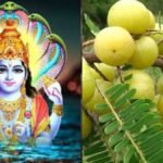 आंवला नवमी 2025 पूजा करते श्रद्धालु