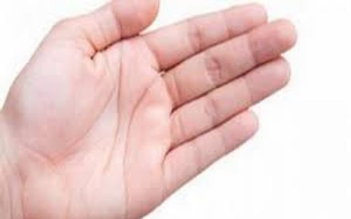 हथेली की रेखाएं पढ़ते हुए हस्तरेखा विशेषज्ञ – हस्तरेखा विज्ञान और भविष्य का रहस्य