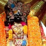 भगवान श्रीकृष्ण की आरती कुंज बिहारी की करते भक्त – जन्माष्टमी पूजा के दौरान भक्ति भाव से गाते हुए श्रद्धालु।