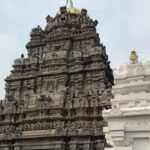 श्री कुर्मनाथ स्वामी मंदिर में भगवान विष्णु के कूर्म अवतार की प्रतिमा