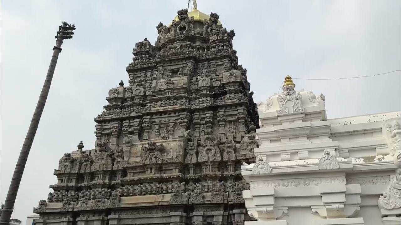 श्री कुर्मनाथ स्वामी मंदिर में भगवान विष्णु के कूर्म अवतार की प्रतिमा