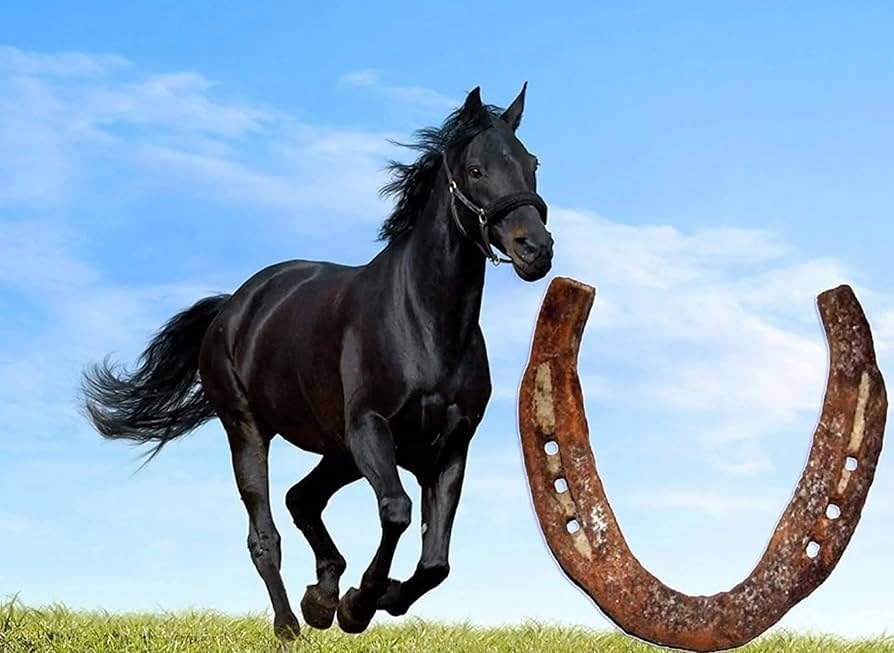 शनि दोष शांति के लिए घोड़े की नाल से बनी अंगूठी ज्योतिष में प्रभावशाली उपाय