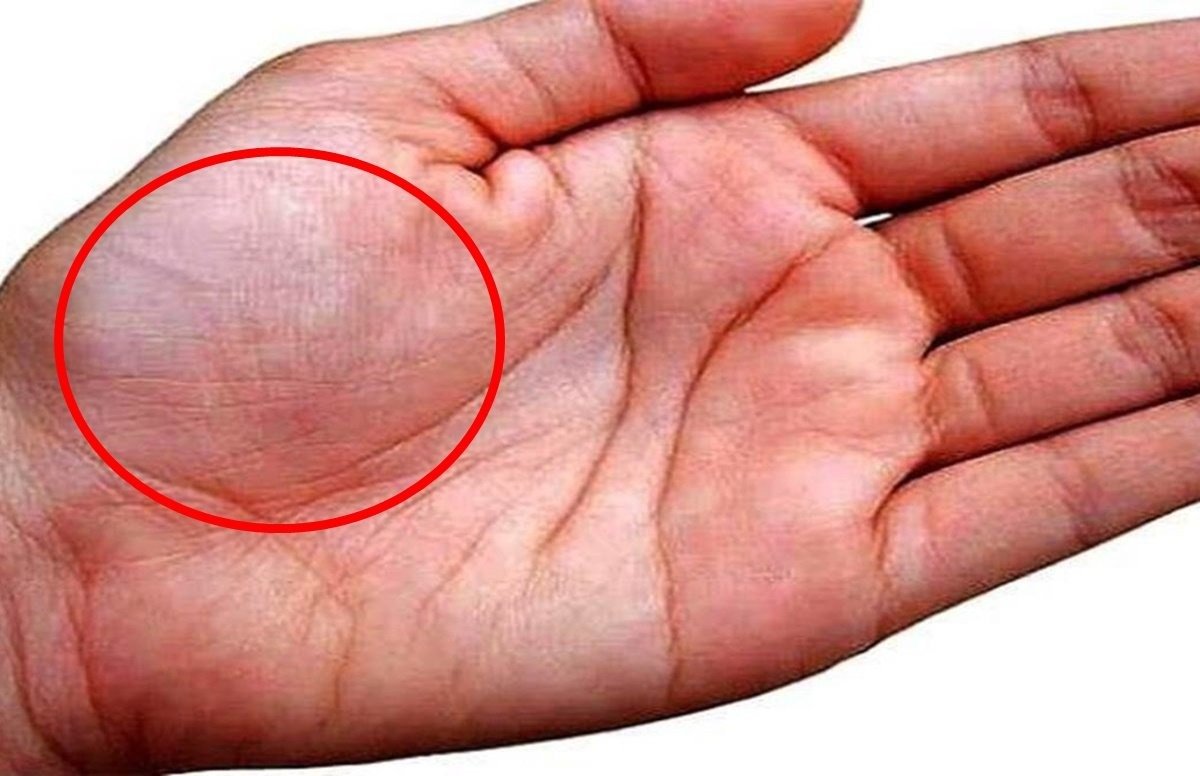 शुक्र पर्वत का आध्यात्मिक महत्व – हथेली में शुक्र पर्वत और शुक्र ग्रह के प्रभाव का संकेत