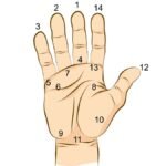 हथेली में सूर्य रेखा का संकेत – भाग्य, सफलता और मान-सम्मान