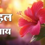 बुधवार को गुड़हल फूल से भगवान गणेश और मां दुर्गा की पूजा, चमत्कारी उपाय और विशेष कृपा