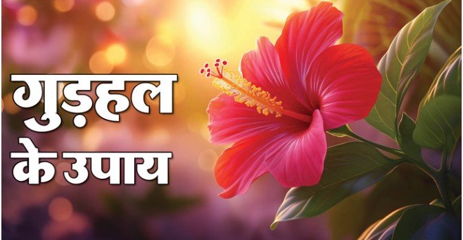 बुधवार को गुड़हल फूल से भगवान गणेश और मां दुर्गा की पूजा, चमत्कारी उपाय और विशेष कृपा