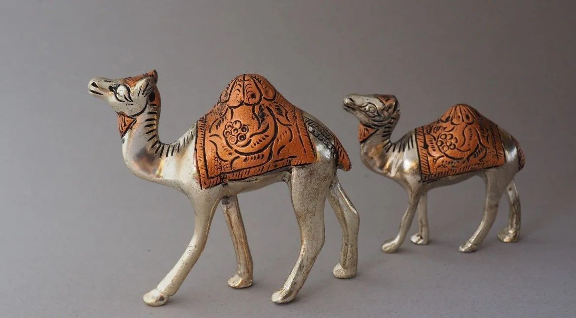 घर में ऊंट की मूर्ति रखने के फायदे और सही दिशा