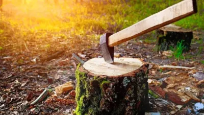 वास्तु शास्त्र के अनुसार पेड़ काटने का सही तरीका और सावधानियां