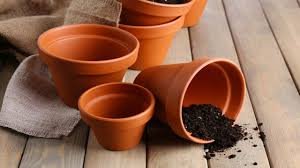 वास्तु शास्त्र में घर के लिए गमलों का महत्व और सही दिशा में गमला रखना