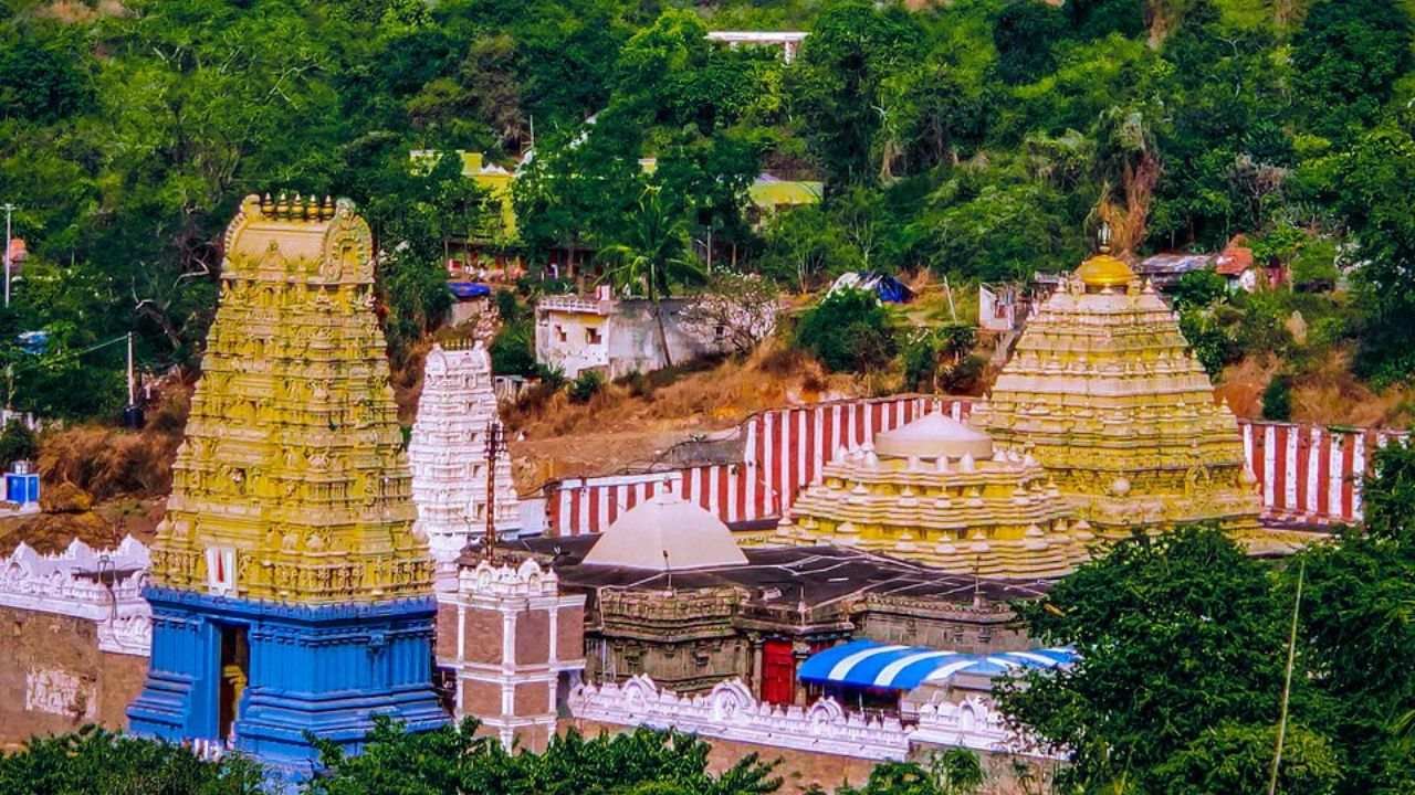 सिंहाचलम मंदिर में भगवान नरसिंह की चंदन से ढकी मूर्ति और भक्तों की आस्था का दृश्य