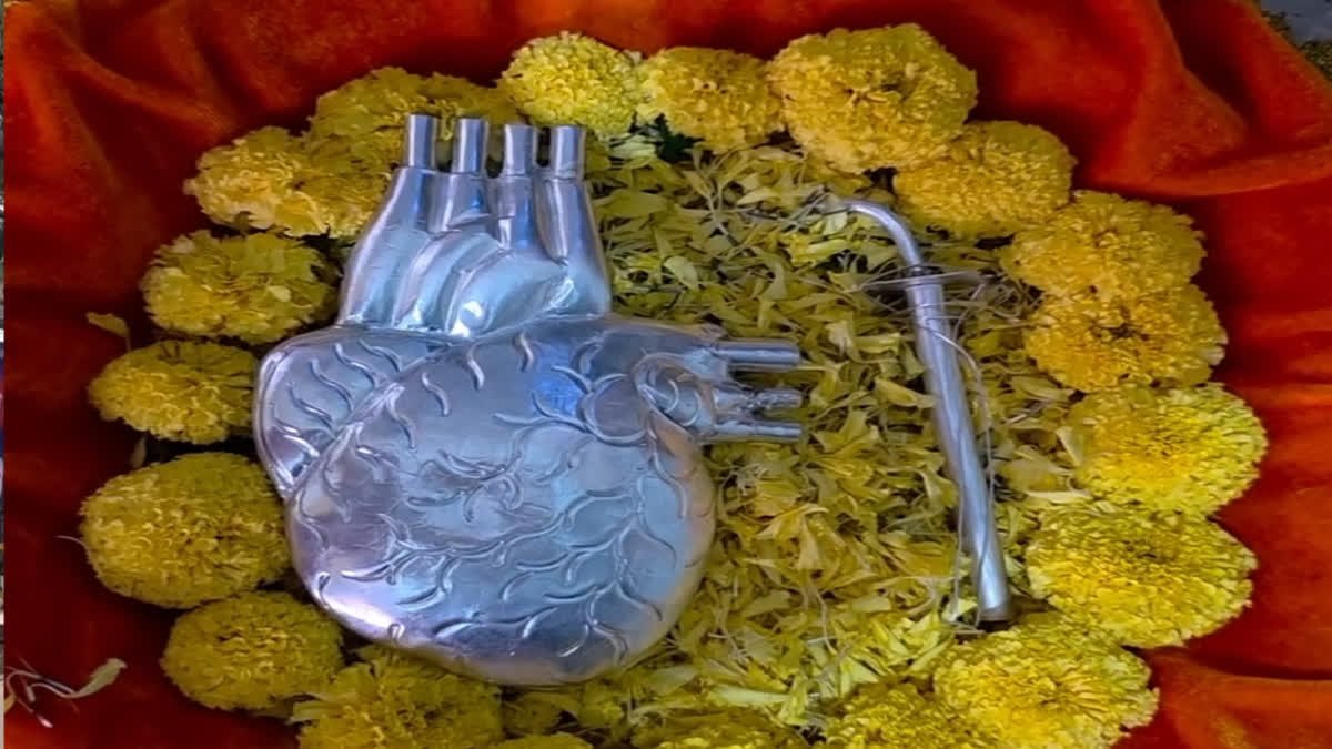 भक्त परिवार द्वारा सफल हार्ट सर्जरी के बाद चित्तौड़गढ़ के सांवलिया सेठ मंदिर में चांदी का हार्ट चढ़ाते हुए दृश्य