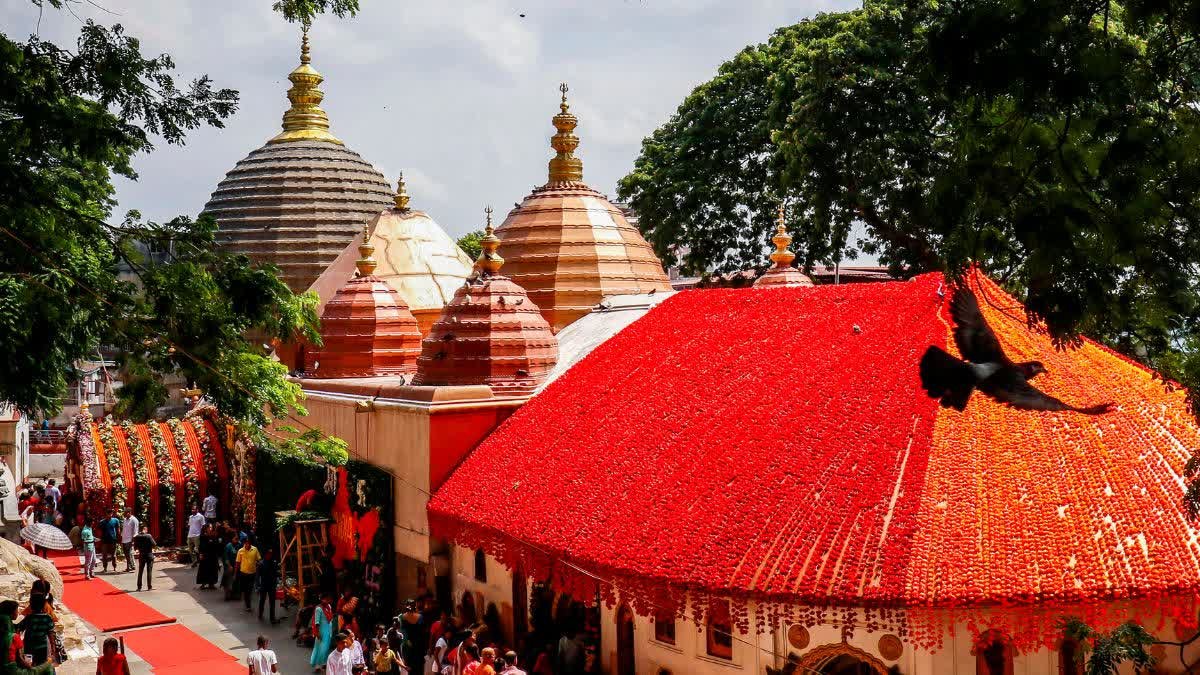 असम के गुवाहाटी स्थित नीलाचल पर्वत पर अंबुबाची मेले के बाद खुले मां कामाख्या मंदिर के कपाट पर दर्शन करते श्रद्धालु।