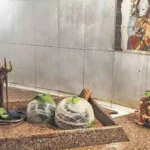 राजस्थान के झुंझुनूं स्थित गुढ़ागौड़जी के प्राचीन शिवधाम की प्राकृतिक गुफा में स्वयंभू रुद्राक्ष स्वरूप भगवान शिव और माता पार्वती का दिव्य दर्शन।
