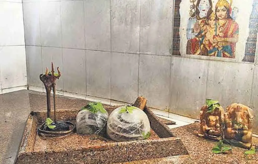 राजस्थान के झुंझुनूं स्थित गुढ़ागौड़जी के प्राचीन शिवधाम की प्राकृतिक गुफा में स्वयंभू रुद्राक्ष स्वरूप भगवान शिव और माता पार्वती का दिव्य दर्शन।